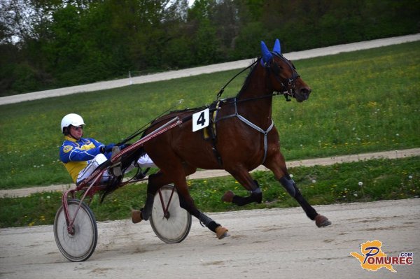 FOTO: V Ljutomeru se je začela sezona kasaških dirk